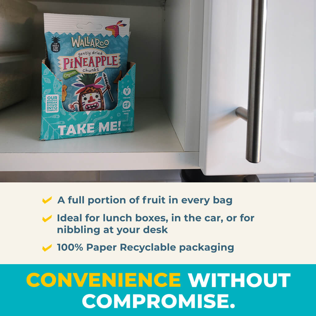 Organic Gently Dried Pineapple Chunks-4